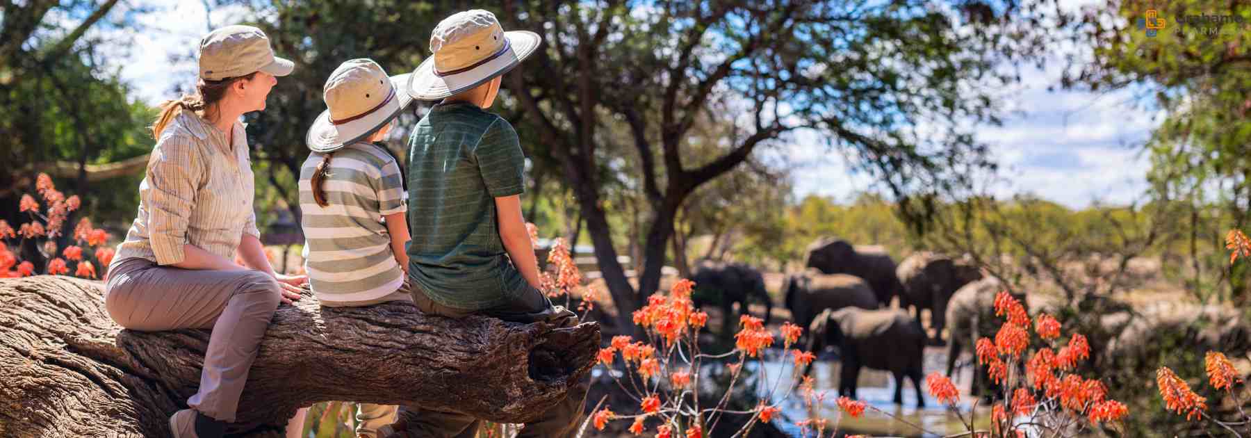 travelling with children